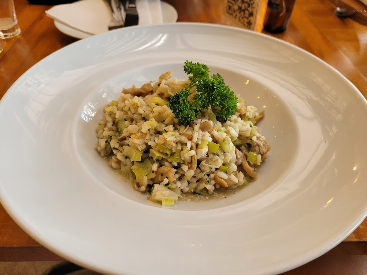 Viverdi Bistrô