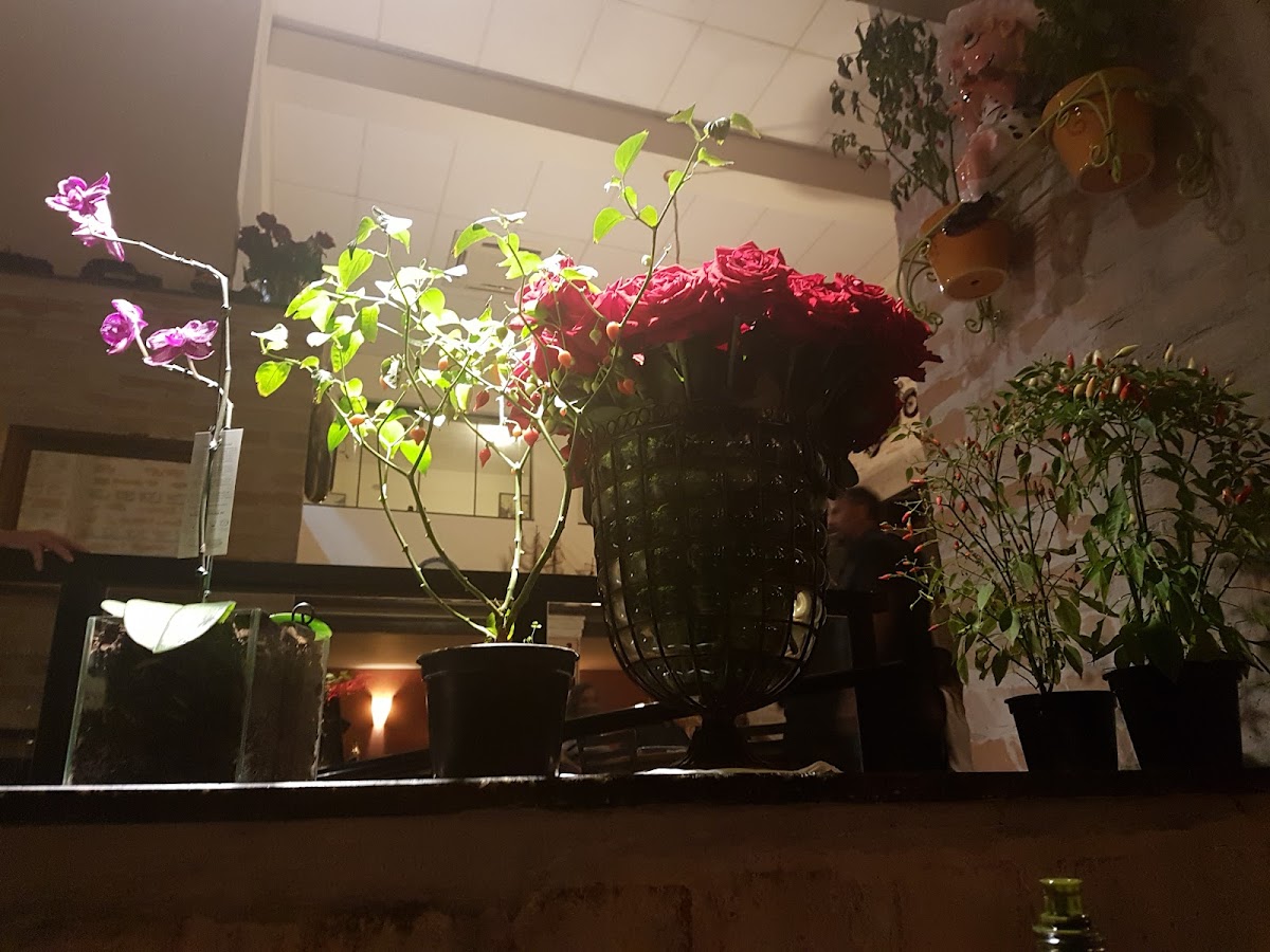 Foto de PIOMONTES PIZZARIA