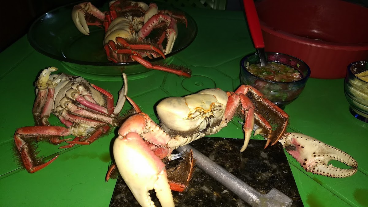 Foto de Trop Drinks Mariscos