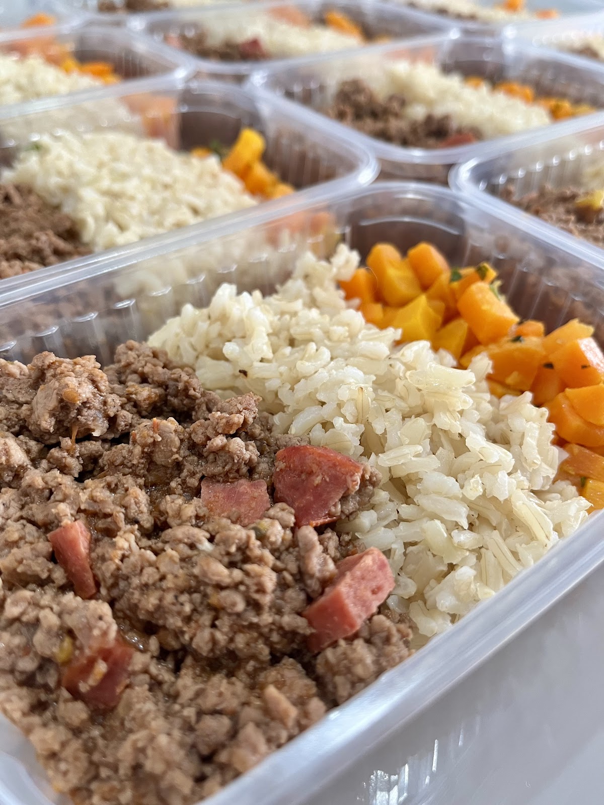EL FOOD - Marmita Caseira Congelada