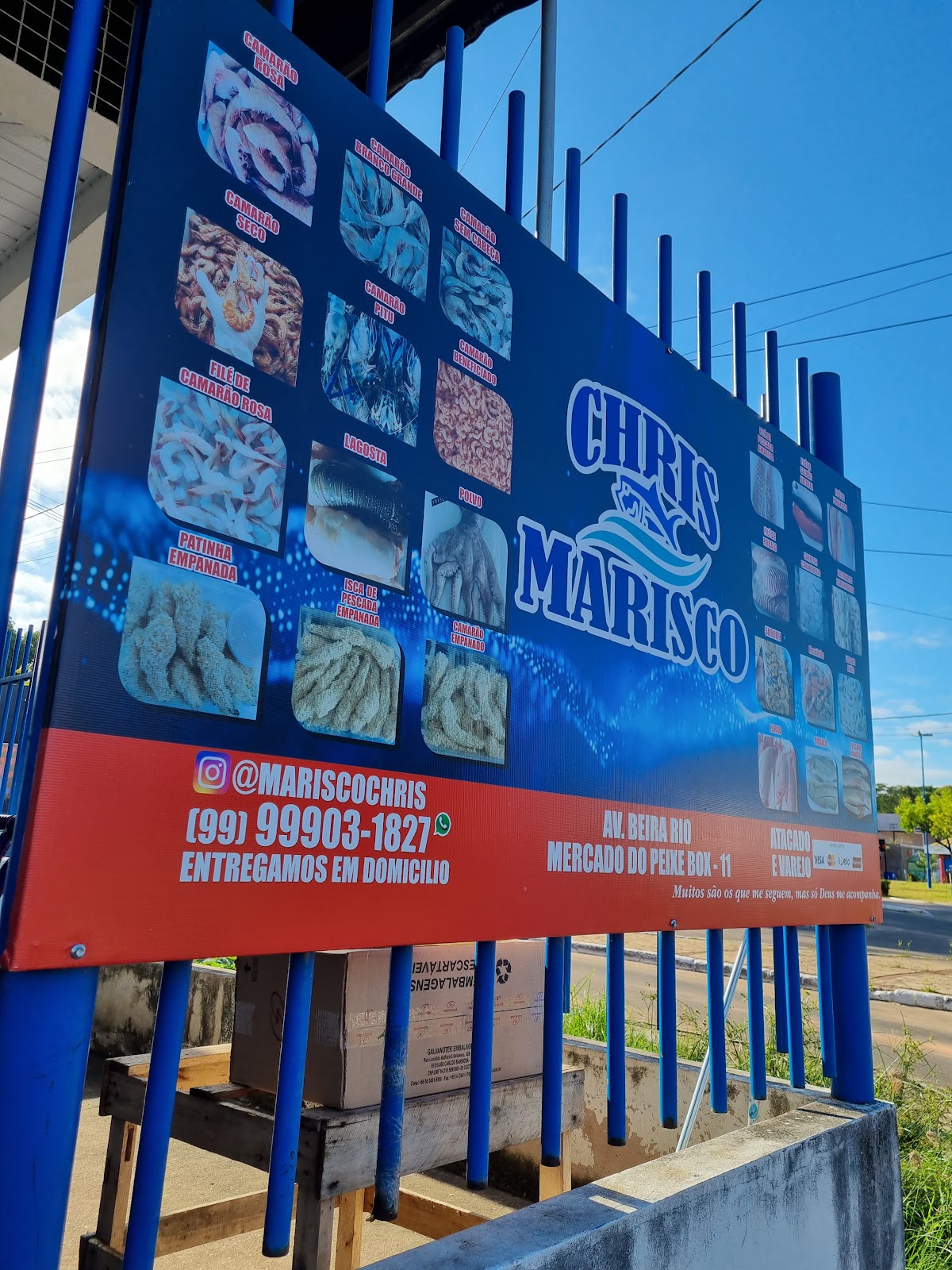 Chris Marisco